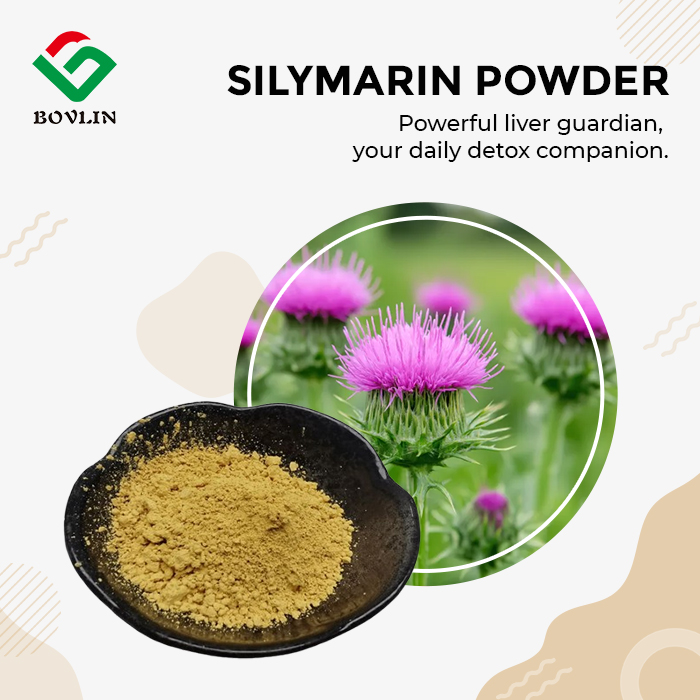Silymarin Powder Silymarin Powder